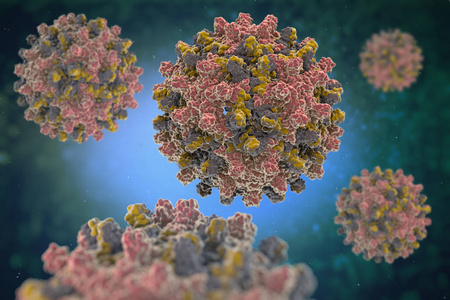 HEV IgM Rapid Test: Vedenie cesty pri diagnostike hepatitídy E