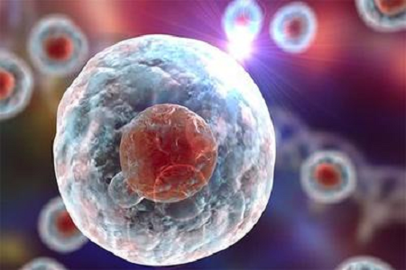 BABIO spúšťa vysoko kvalitný roztok Giemsa Stain B pre pokročilú cytogenetickú a hematologickú diagnostiku