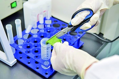 Spoľahlivá bakteriálna identifikácia, ktorá bola jednoduchá pomocou súpravy Gram Stain z Babia