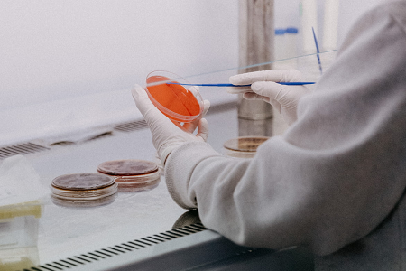 Spoločnosť BABIO zavádza agar dextrózy zemiakov (USP) pre spoľahlivé testovanie plesní a kvasiniek