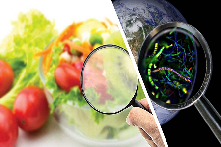 BABIO uvádza na trh rýchlu testovaciu kazetu aflatoxínu B1 pre globálnu kontrolu bezpečnosti potravín