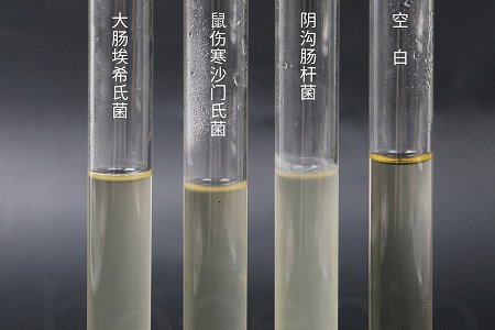 BABIO uvádza na trh vysokovýkonný infúzny vývar pre mozog a srdce