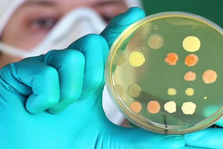 Trypticase Soy Buth: Spoľahlivý základ pre mikrobiálny rast