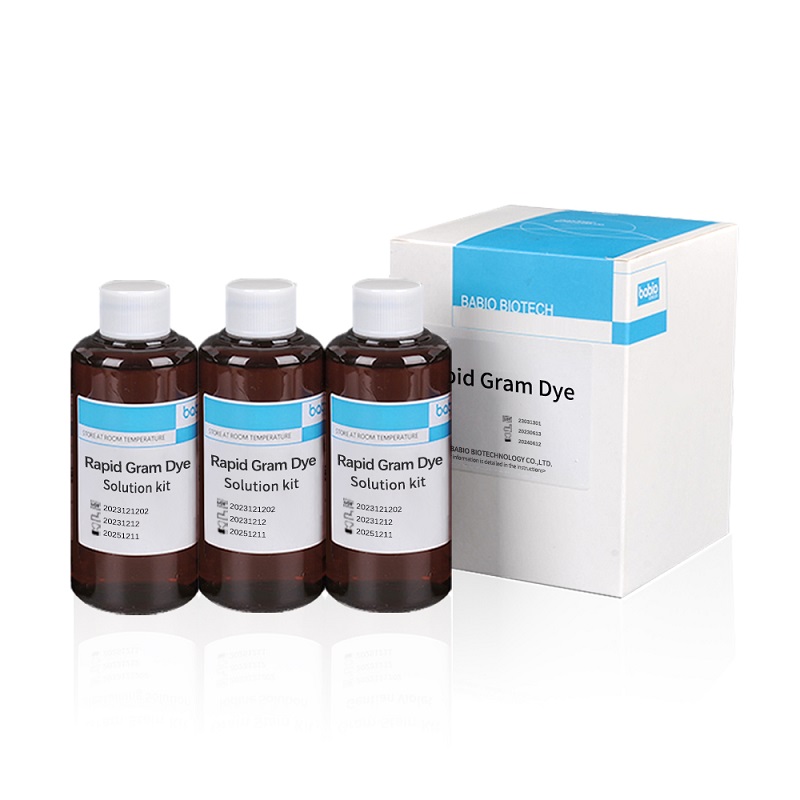 Súprava Rapid Gram Dye Solution